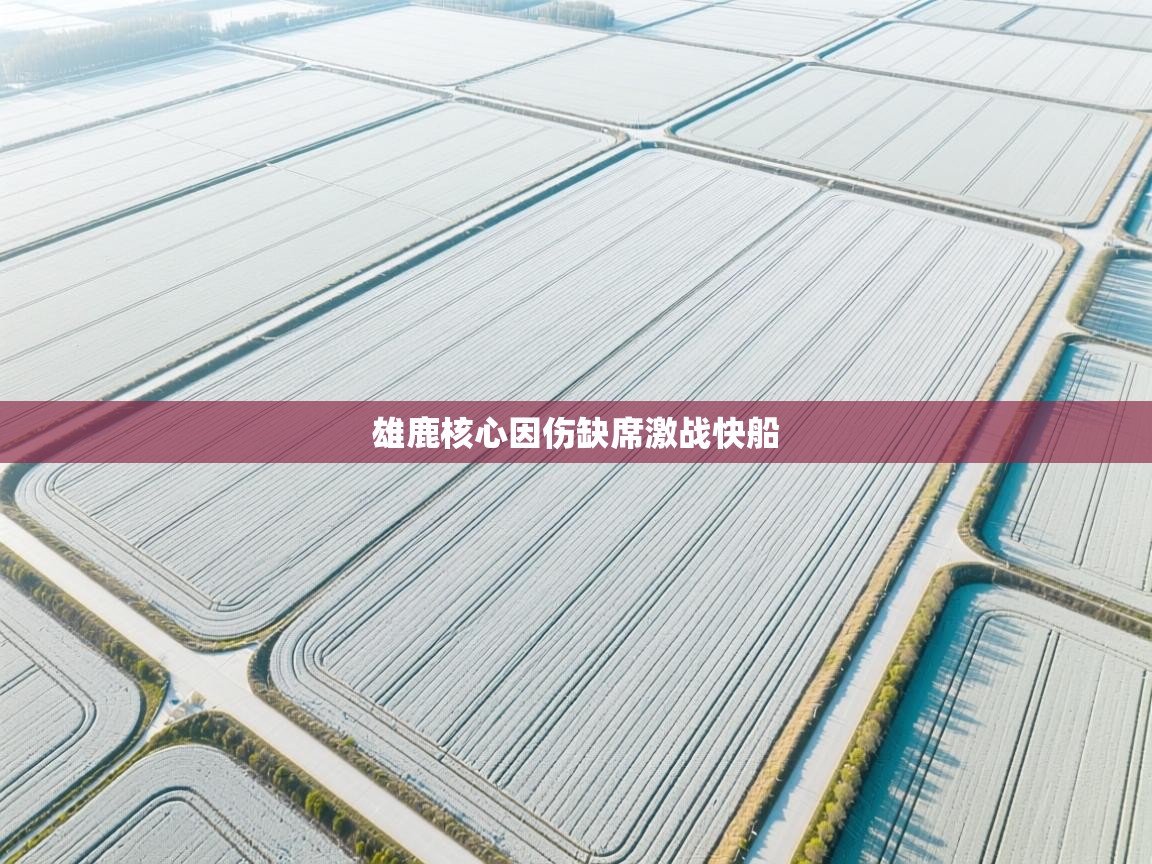 雄鹿核心因伤缺席激战快船 第2张